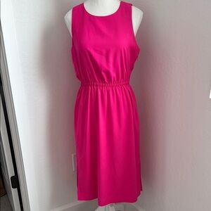 J Crew Elegant Pink Sleeveless Dress NWOT